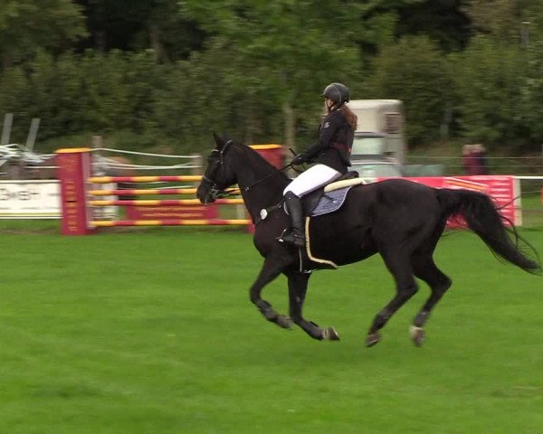 Reitturnier Kellinghusen 2018