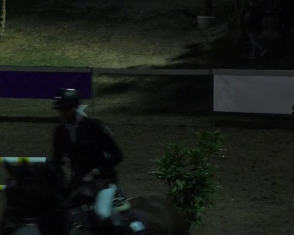 Reitturnier Nußdorf 2018