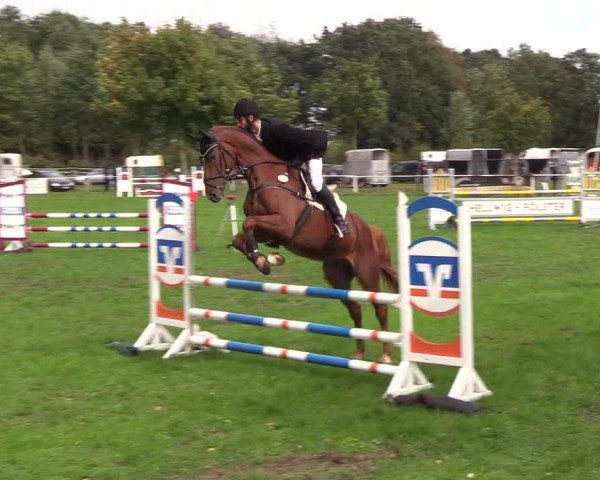 Reitturnier Kellinghusen 2018