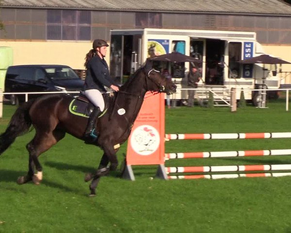 Reitturnier Kellinghusen 2018