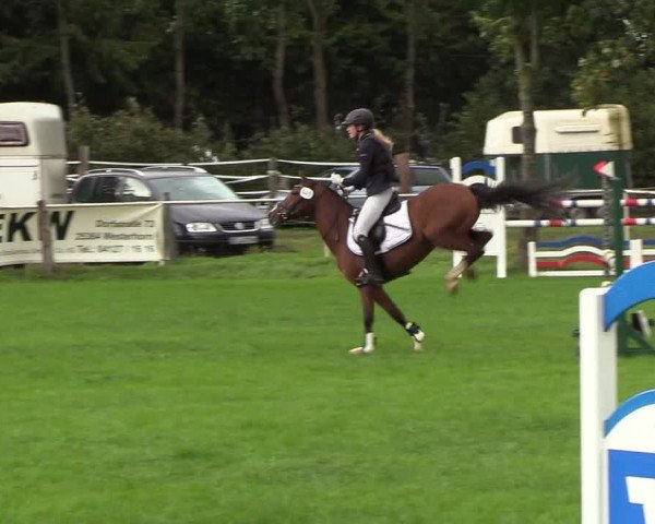 Reitturnier Kellinghusen 2018