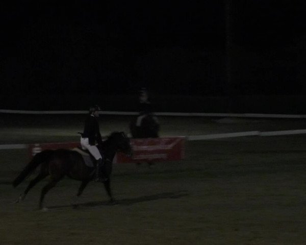 Reitturnier Nußdorf 2018