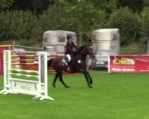 Reitturnier Kellinghusen 2018