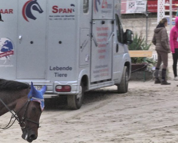 Reitturnier Neunkirchen-City 2018