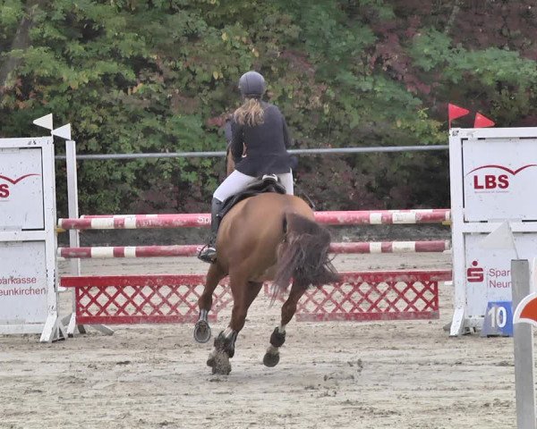 Reitturnier Neunkirchen-City 2018