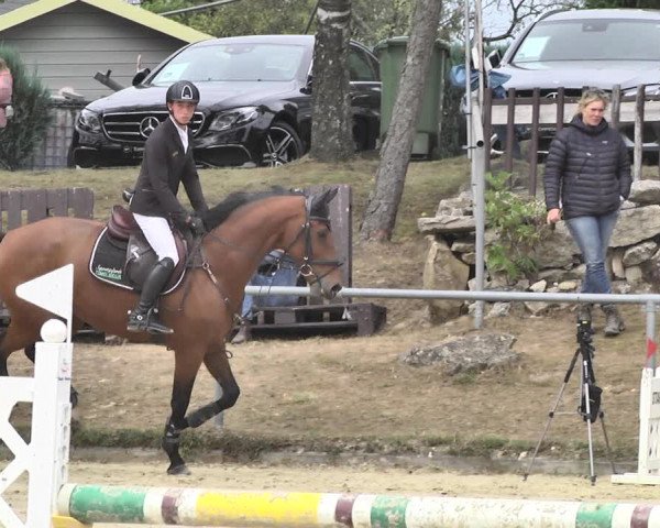 Reitturnier Neunkirchen-City 2018