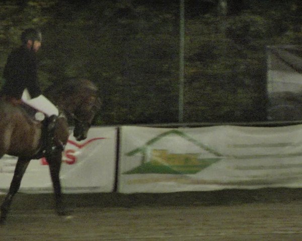 Reitturnier Neunkirchen-City 2018