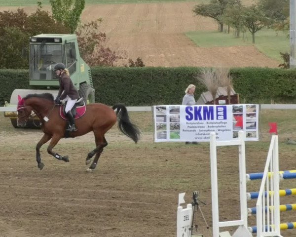 Reitturnier Nußdorf 2018