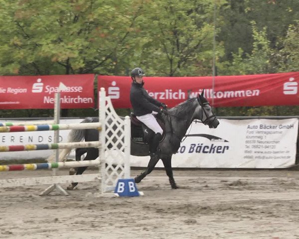 Reitturnier Neunkirchen-City 2018