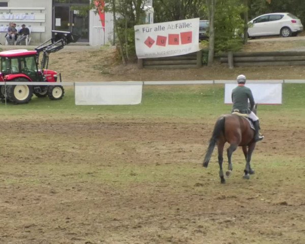 Reitturnier Nußdorf 2018