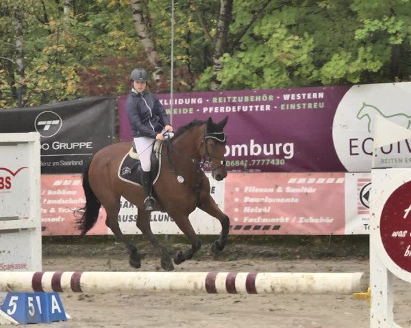 Reitturnier Neunkirchen-City 2018