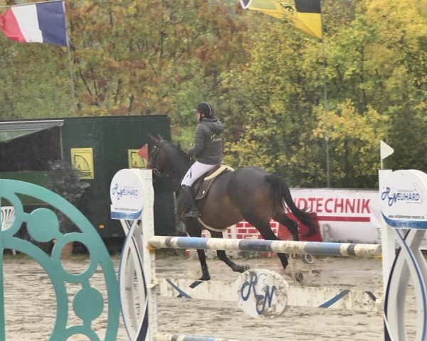 Reitturnier Neunkirchen-City 2018