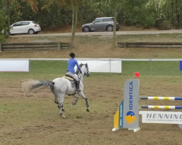 Reitturnier Nußdorf 2018