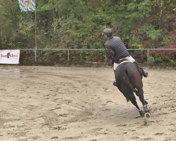 Reitturnier Neunkirchen-City 2018