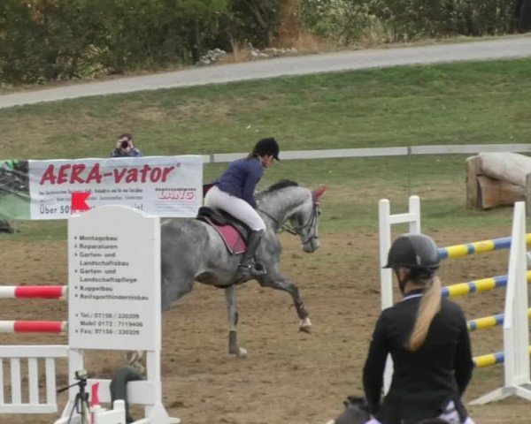Reitturnier Nußdorf 2018
