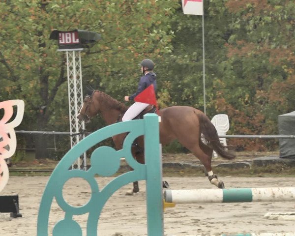 Reitturnier Neunkirchen-City 2018