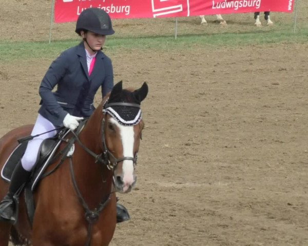 Reitturnier Nußdorf 2018