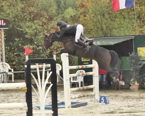 Reitturnier Neunkirchen-City 2018