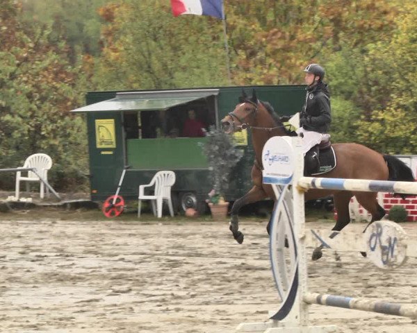 Reitturnier Neunkirchen-City 2018