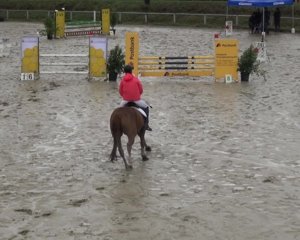 Reitturnier Köln-Leverkusen 2018