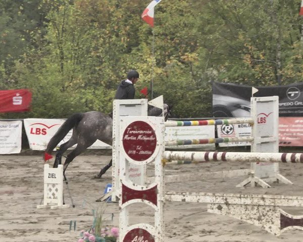 Reitturnier Neunkirchen-City 2018