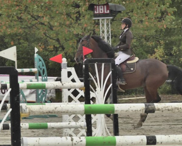 Reitturnier Neunkirchen-City 2018