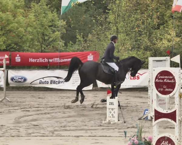 Reitturnier Neunkirchen-City 2018
