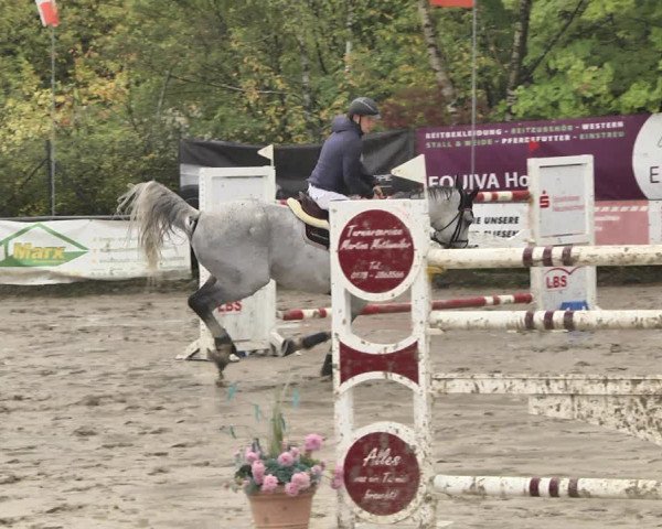 Reitturnier Neunkirchen-City 2018