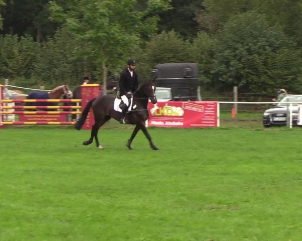 Reitturnier Kellinghusen 2018