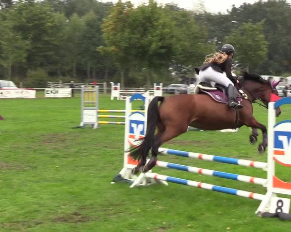 Reitturnier Kellinghusen 2018