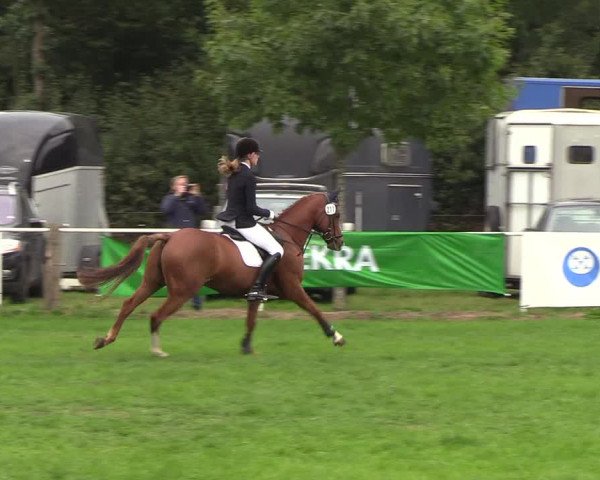 Reitturnier Kellinghusen 2018