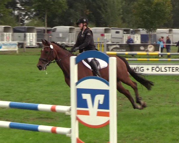 Reitturnier Kellinghusen 2018