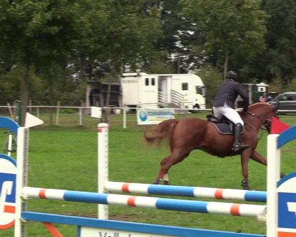 Reitturnier Kellinghusen 2018