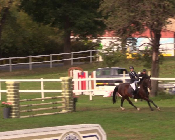 Reitturnier Müncheberg 2018