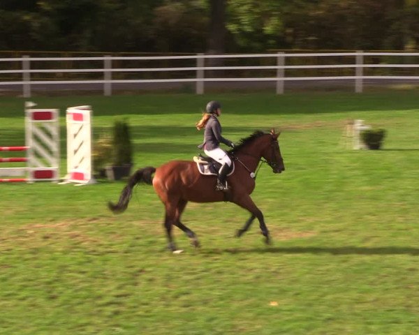 Reitturnier Müncheberg 2018