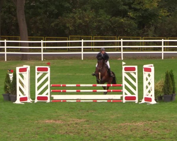 Reitturnier Müncheberg 2018