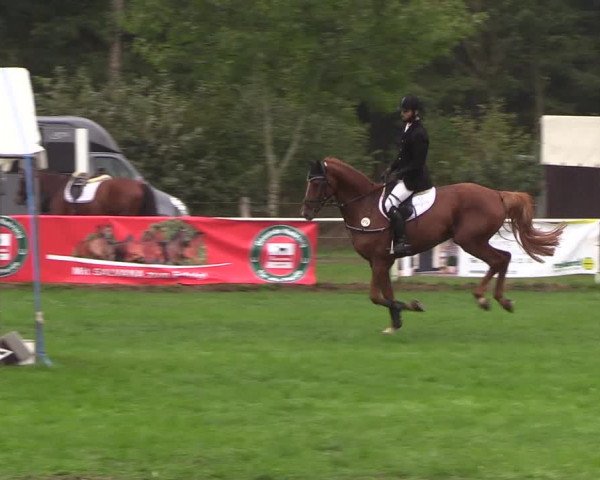 Reitturnier Kellinghusen 2018