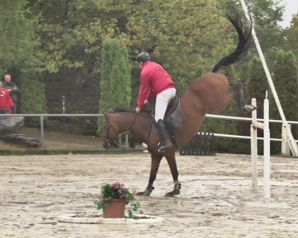 Reitturnier Neunkirchen-City 2018