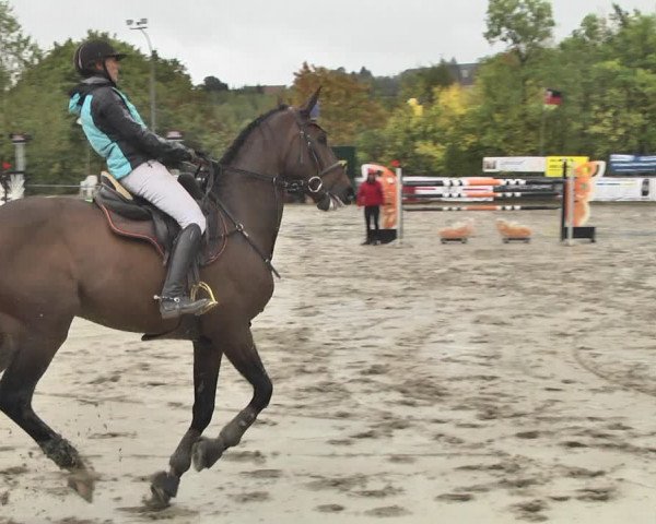 Reitturnier Neunkirchen-City 2018