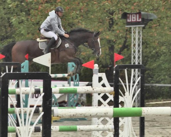 Reitturnier Neunkirchen-City 2018