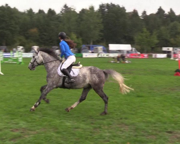 Reitturnier Kellinghusen 2018