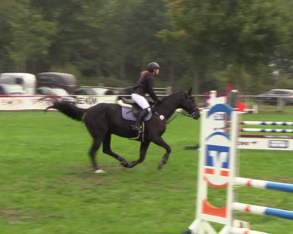 Reitturnier Kellinghusen 2018