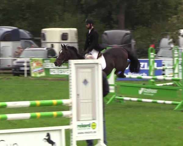 Reitturnier Kellinghusen 2018