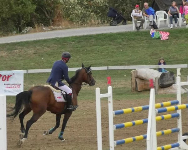 Reitturnier Nußdorf 2018
