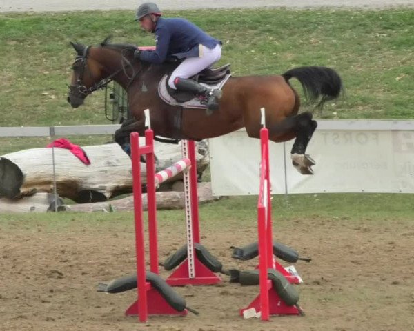 Reitturnier Nußdorf 2018