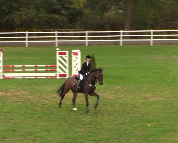 Reitturnier Müncheberg 2018