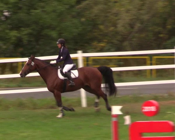 Reitturnier Müncheberg 2018