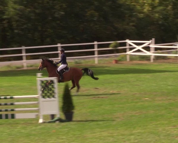 Reitturnier Müncheberg 2018