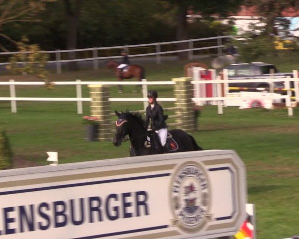 Reitturnier Müncheberg 2018