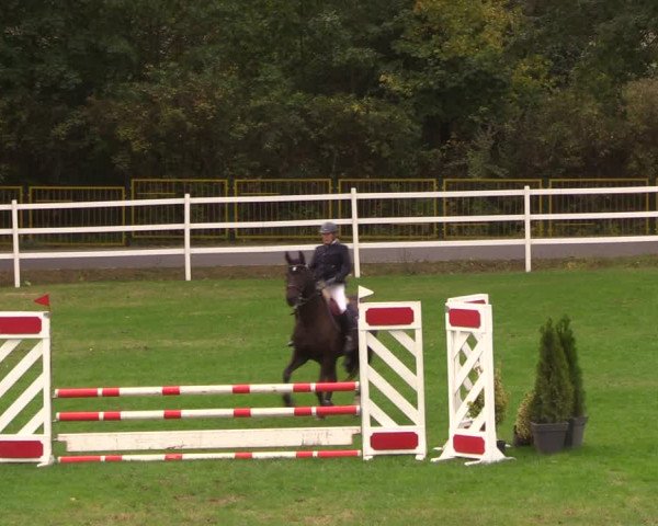 Reitturnier Müncheberg 2018